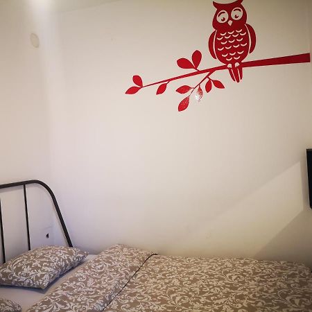 Filin Home Teleckog Novi Sad Exterior foto